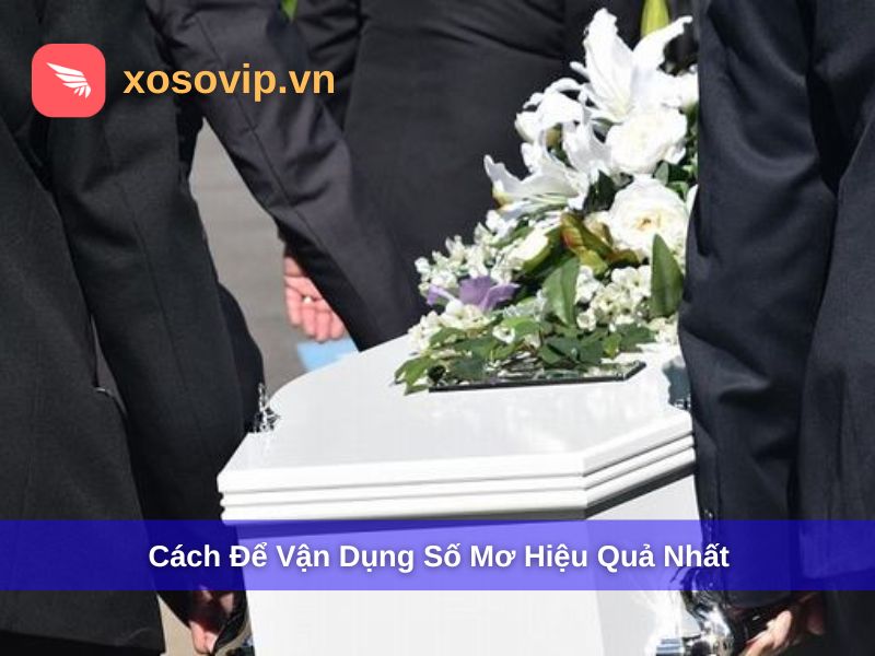 Cách để vận dụng số mơ hiệu quả nhất