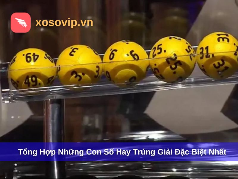 Tổng Hợp Những Con Số Hay Trúng Giải Đặc Biệt Nhất 2025