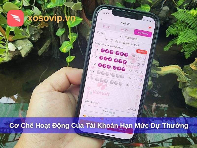 Cơ chế hoạt động của tài khoản hạn mức dự thưởng