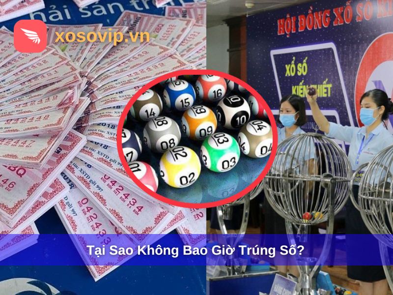 Giải Đáp Tại Sao Không Bao Giờ Trúng Số? Những Điều Nên Biết Về Xổ Số