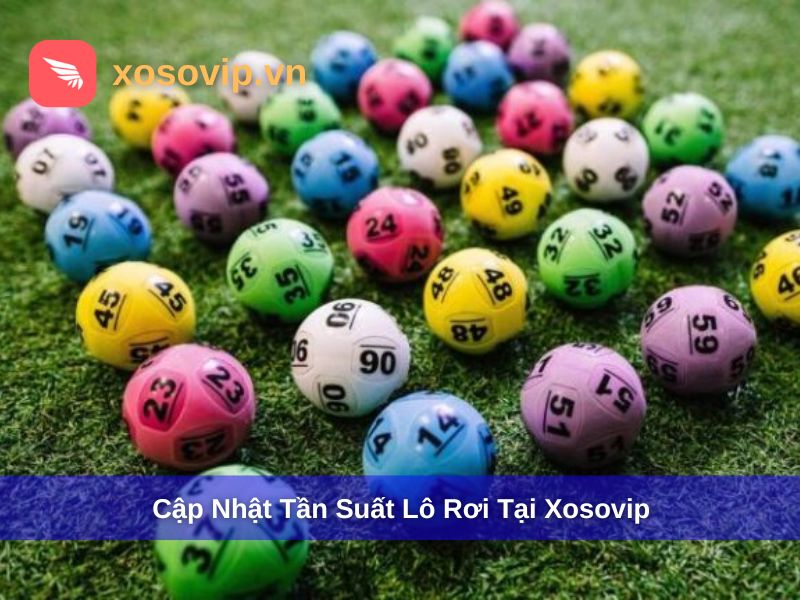 Cập nhật bảng tần suất lô rơi tại Xosovip