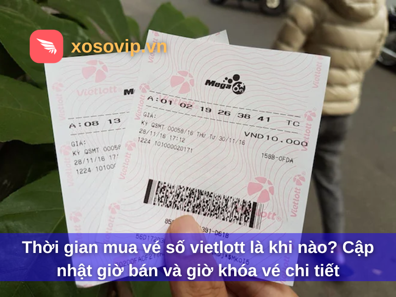 Thời Gian Mua Vé Số Vietlott Là Khi Nào? Cập Nhật Giờ Bán Và Giờ Khóa Vé Chi Tiết