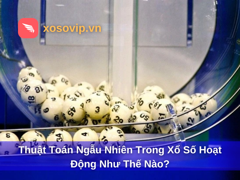 Thuật Toán Ngẫu Nhiên Trong Xổ Số Hoạt Động Như Thế Nào?