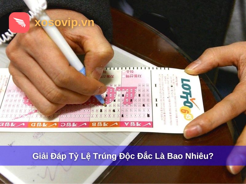 Giải Đáp Tỷ Lệ Trúng Độc Đắc Là Bao Nhiêu? Tìm Hiểu Xác Suất Thực Tế