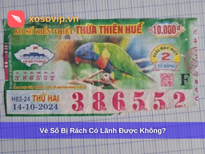 Giải đáp việc vé số bị rách có lãnh được không