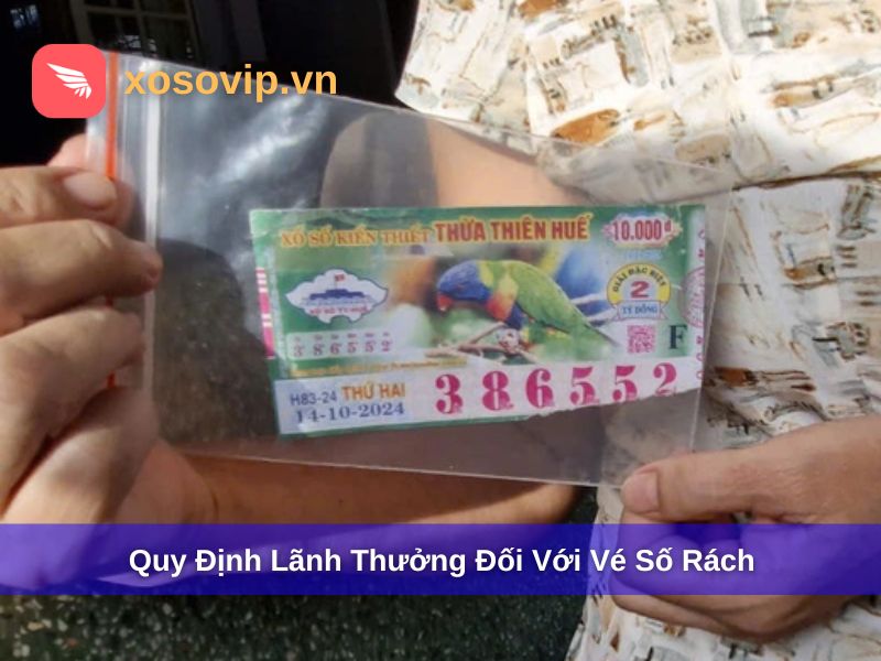 Vé Số Bị Rách Có Lãnh Được Không? Cách Xử Lý Khi Gặp Sự Cố