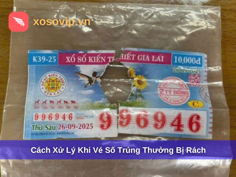 Cách xử lý khi vé số trúng thưởng bị rách