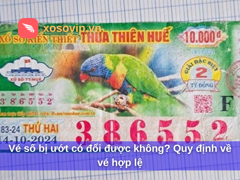 V&eacute; số bị ướt c&oacute; đổi được kh&ocirc;ng? Quy định về v&eacute; hợp lệ