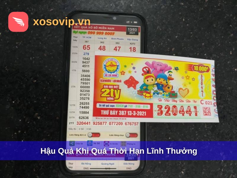 Hậu quả khi quá thời hạn lĩnh vực