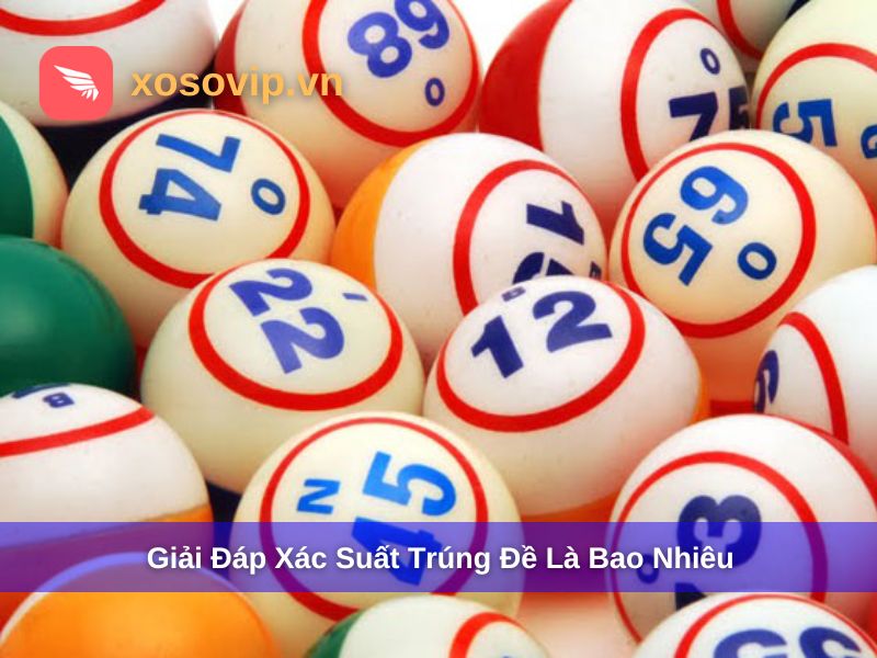Giải Đáp Chi Tiết Xác Suất Trúng Đề Là Bao Nhiêu