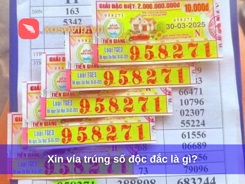 Xin Vía Trúng Số Độc Đắc Là Gì? Góc Nhìn Văn Hóa Và Thực Tế Xác Suất