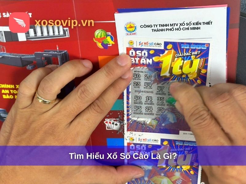 Xổ Số Cào Là Gì? Cách Chơi, Cơ Cấu Giải Thưởng & Lời Khuyên 2026