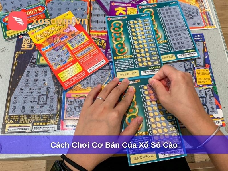 C&aacute;ch chơi cơ bản của xổ số c&agrave;o