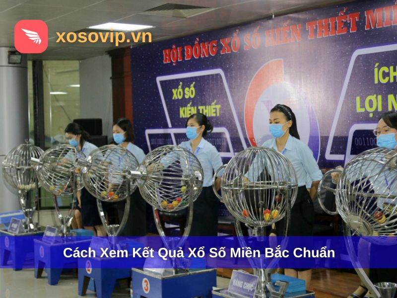 C&aacute;ch xem kết quả xổ số kiến thiết miền Bắc chuẩn