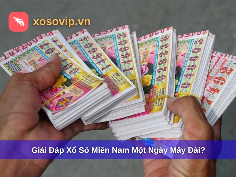 Giải Đáp Xổ Số Miền Nam Một Ngày Mấy Đài? Lịch Quay & Đài Mở Thưởng 2025