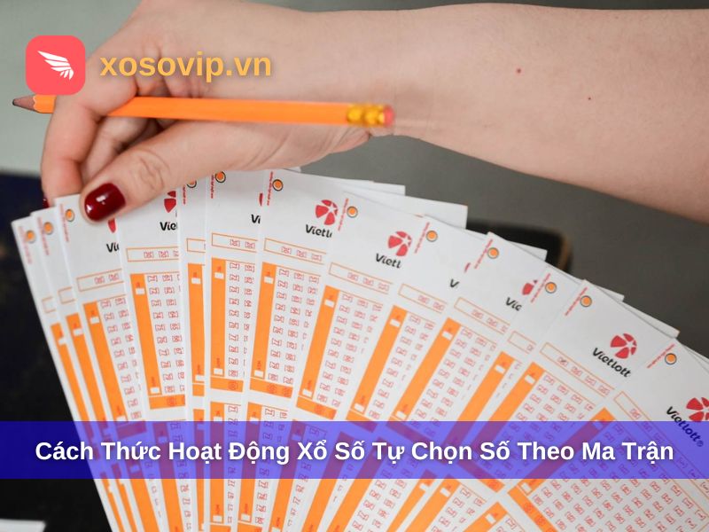 Tìm Hiểu Xổ Số Tự Chọn Số Theo Ma Trận Là Gì? Giải Thích Dễ Hiểu Cho Người Mới