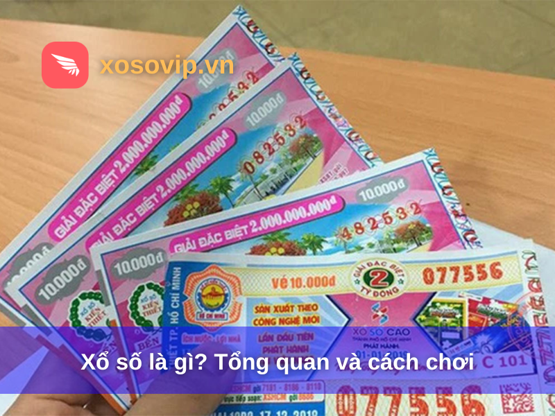 Xổ số là gì? Tổng quan và cách chơi